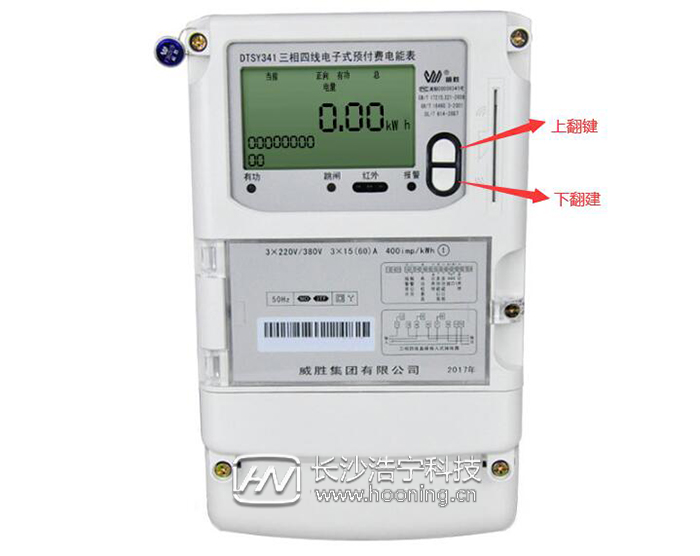 威勝dtsy341電表費用顯示